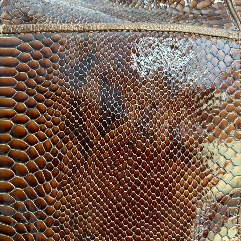 Brighton Leather Hobo Purse
